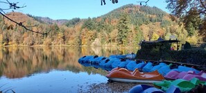 Imagen sin descripción, 2 de 24, botón