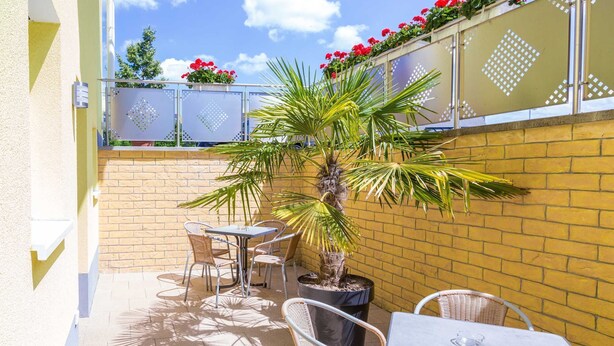 A patio with a palm tree, wicker chairs, and a table. - Standard family room - Pension Sieg (Rust)