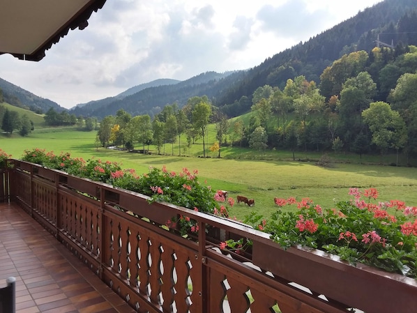 A balcony with a view of a green field and trees, a wooden railing, and a mountain in the background. - Double room 1 with toilet and shower, 1 - 2 persons - Mosertonihof (Elzach)