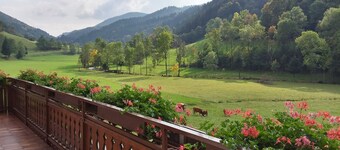 Double room 1 with toilet and shower, 1 - 2 persons - Mosertonihof