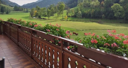 Chambre double 1 avec toilette et douche, 1 - 2 personnes - Mosertonihof