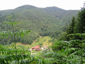 Botón de imagen sin clasificar, 2 de 29