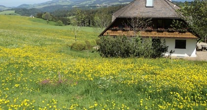 No2 Waldblick , 1 - 4 Personen - Christenmartinshäusle