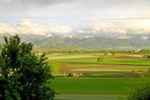 Imagen sin descripción, 4 de 10, botón