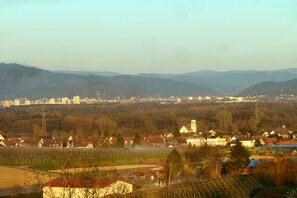 Unclassified image, 3 of 10, button