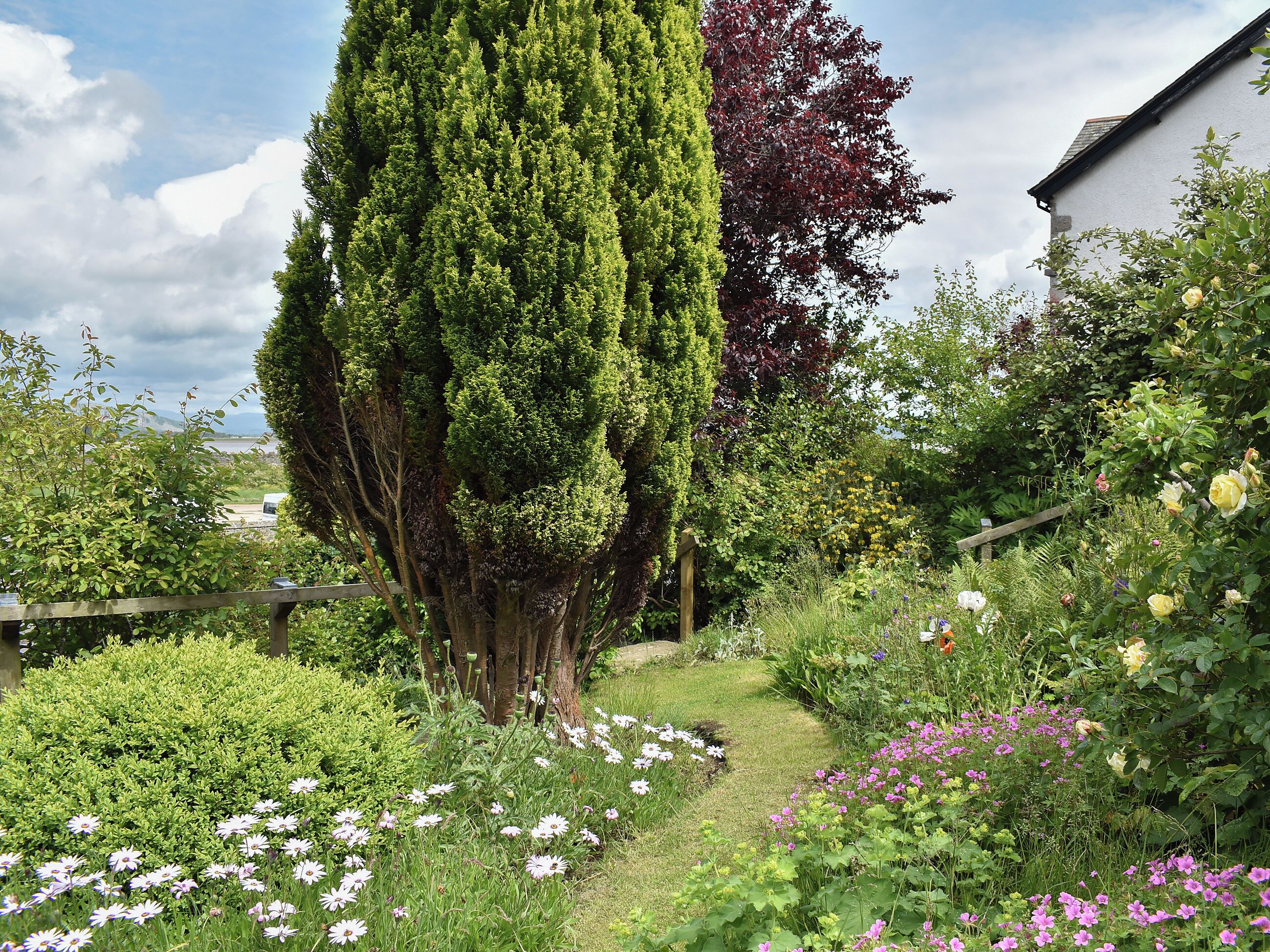 Un jardin où l’on trouve une grande variété de plantes et de fleurs, un grand arbre et, au fond, un bâtiment blanc.