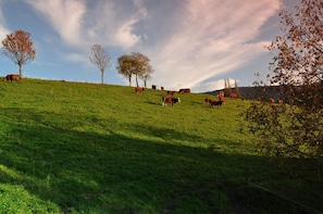 Unclassified image, 5 of 25, button