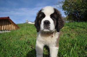 Unclassified image, 4 of 25, button