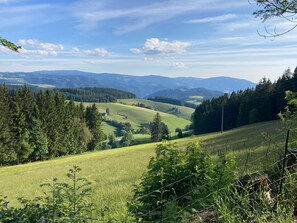 Uklassifisert bilde, 2 av 15, knapp