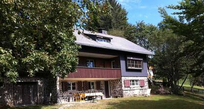 Huoneisto pohjakerroksessa, max. 6 henkilöä - Eckhäusle