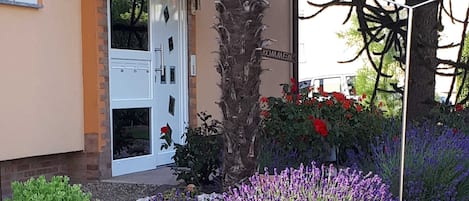 Detall de l'exterior