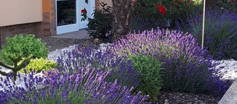 Haus Hanne - vacation apartment 2, 85sqm, 1st floor, 2 bedrooms, 1 living room/kitchen, max. 5 persons.