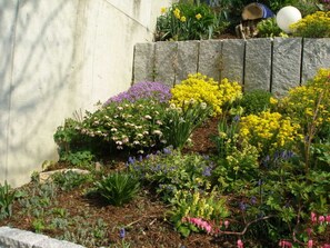 Immagine non classificata, 4 di 35, pulsante