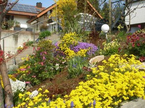 Immagine non classificata, 5 di 35, pulsante