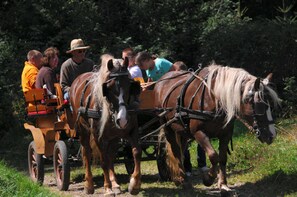 Miscellaneous - No3 sun terrace, 1 - 2 persons - Christenmartinshäusle (Sankt Märgen)