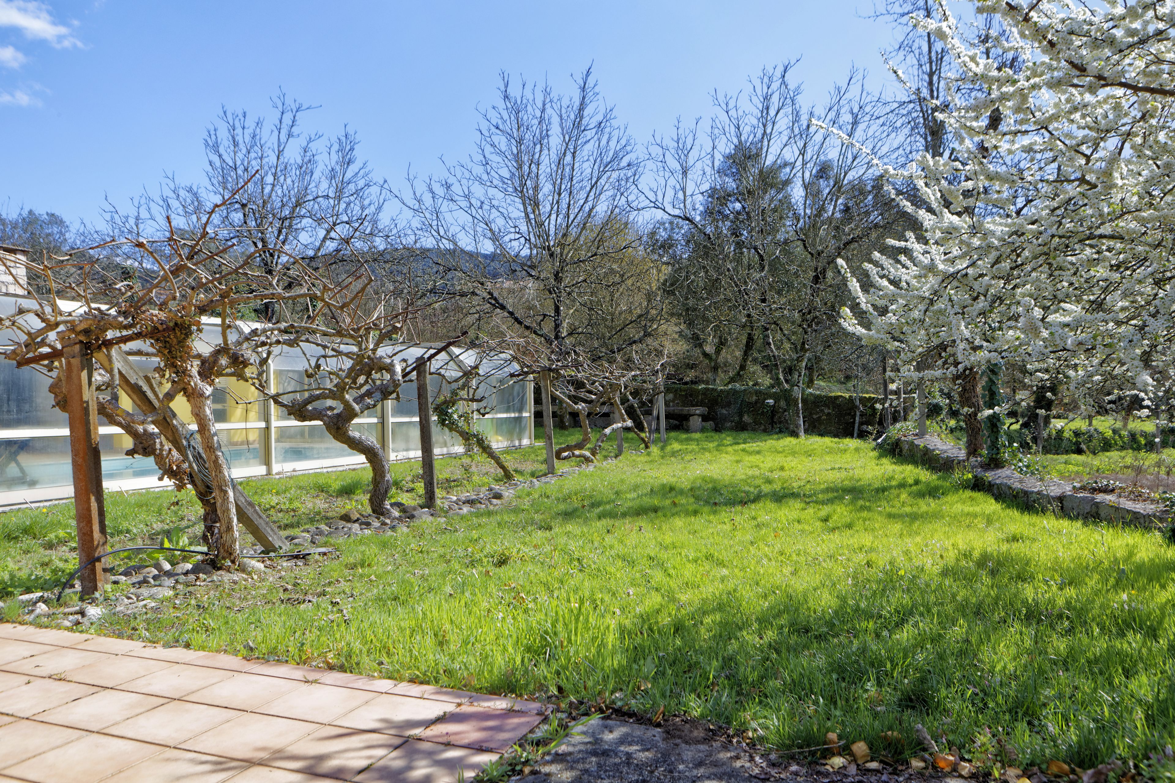 A garden with a paved walkway, various trees, and a building with large windows in the background.