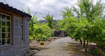 Zen Vouga - Quinta do Fundo de Vila
