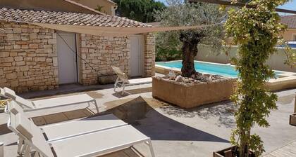 Coste Investissement - Le vieil olivier 4