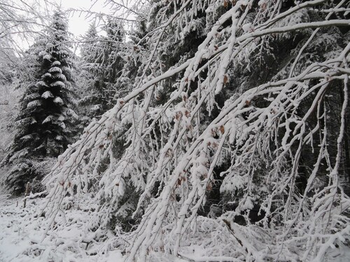 Fewo Merdin - Merdin