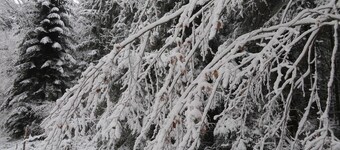 Fewo Merdin - Merdin