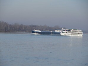 Imagem sem classificação, 5 de 31, botão