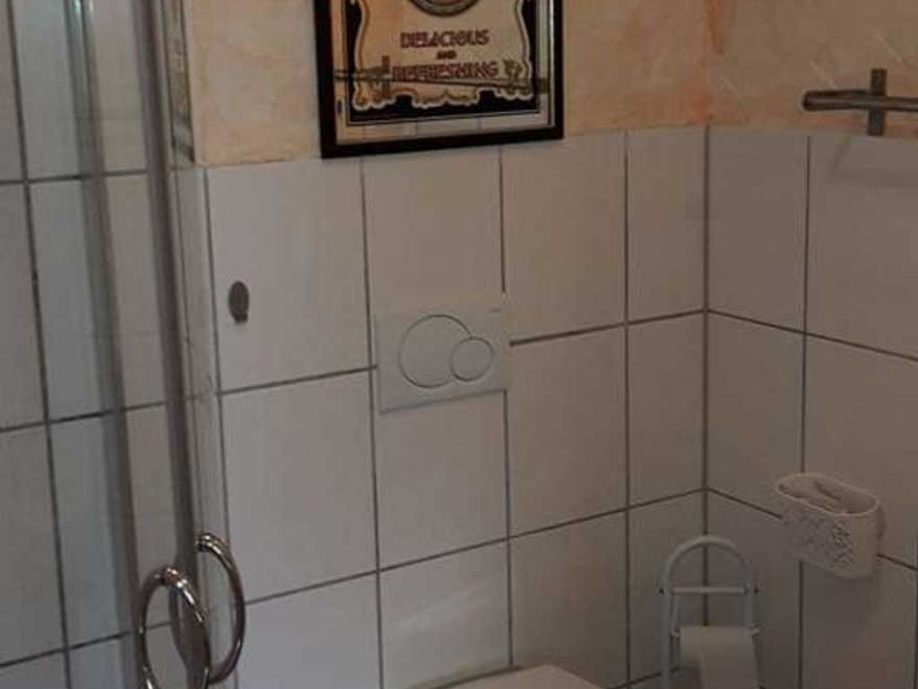 Dusche, Haartrockner, Handtücher, Toilettenpapier