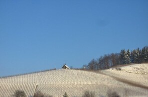 Unclassified image, 3 of 15, button