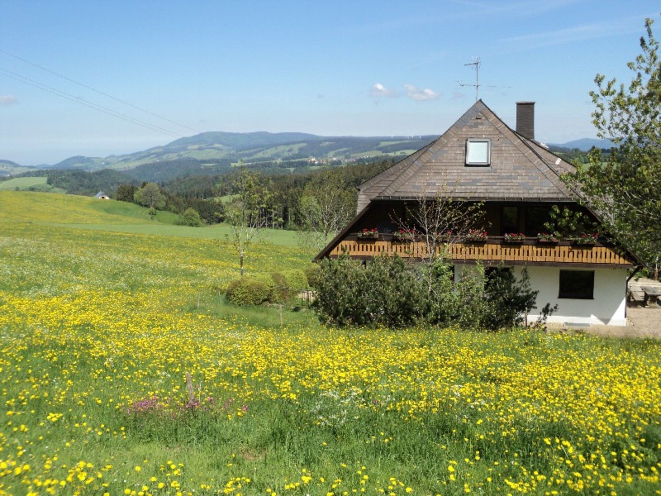 Een klassiek chalet met een schuin dak, schoorsteen en een klein raam. Het wordt omringd door een weelderig groen veld met gele bloemen.