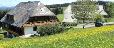 A house with a sloped roof, a balcony, and a garden with yellow flowers.