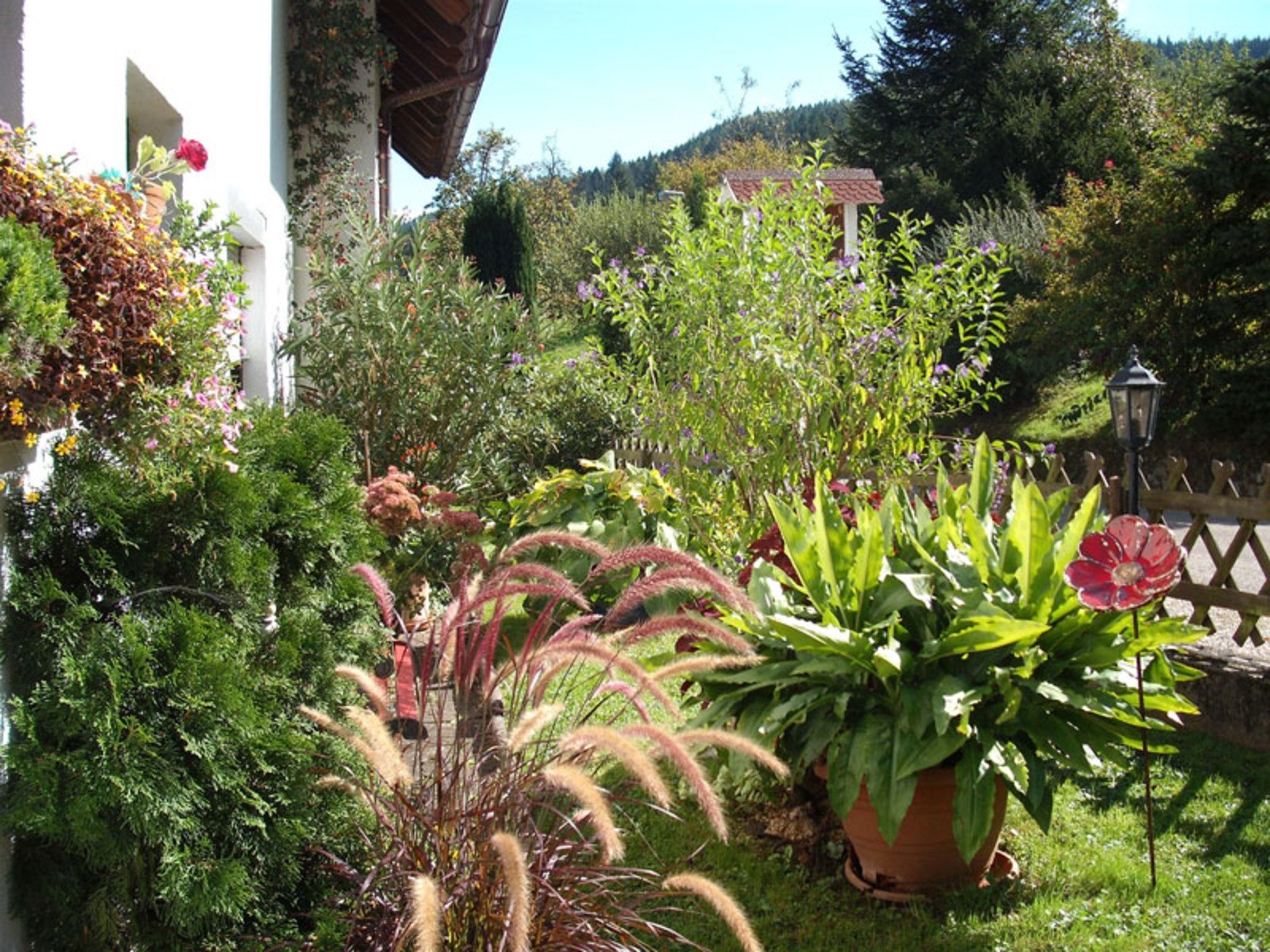 Blumen vor dem Haus