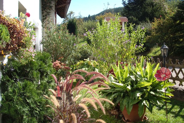 Blumen vor dem Haus
