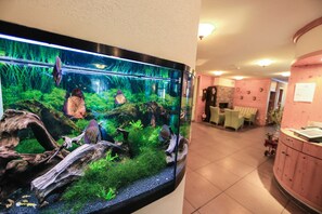 Botón de imagen sin clasificar, 5 de 25