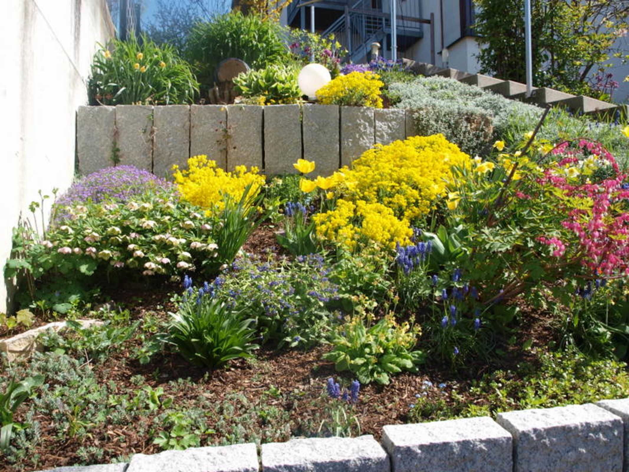 A garden with various flowering plants and a stone retaining wall.