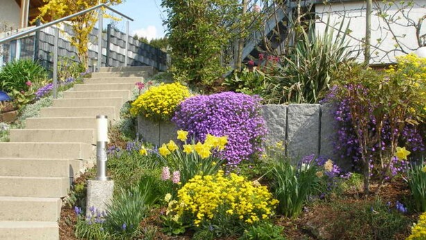 Un escalier menant à un bâtiment doté d’un jardin où l’on peut admirer des fleurs violettes et jaunes.