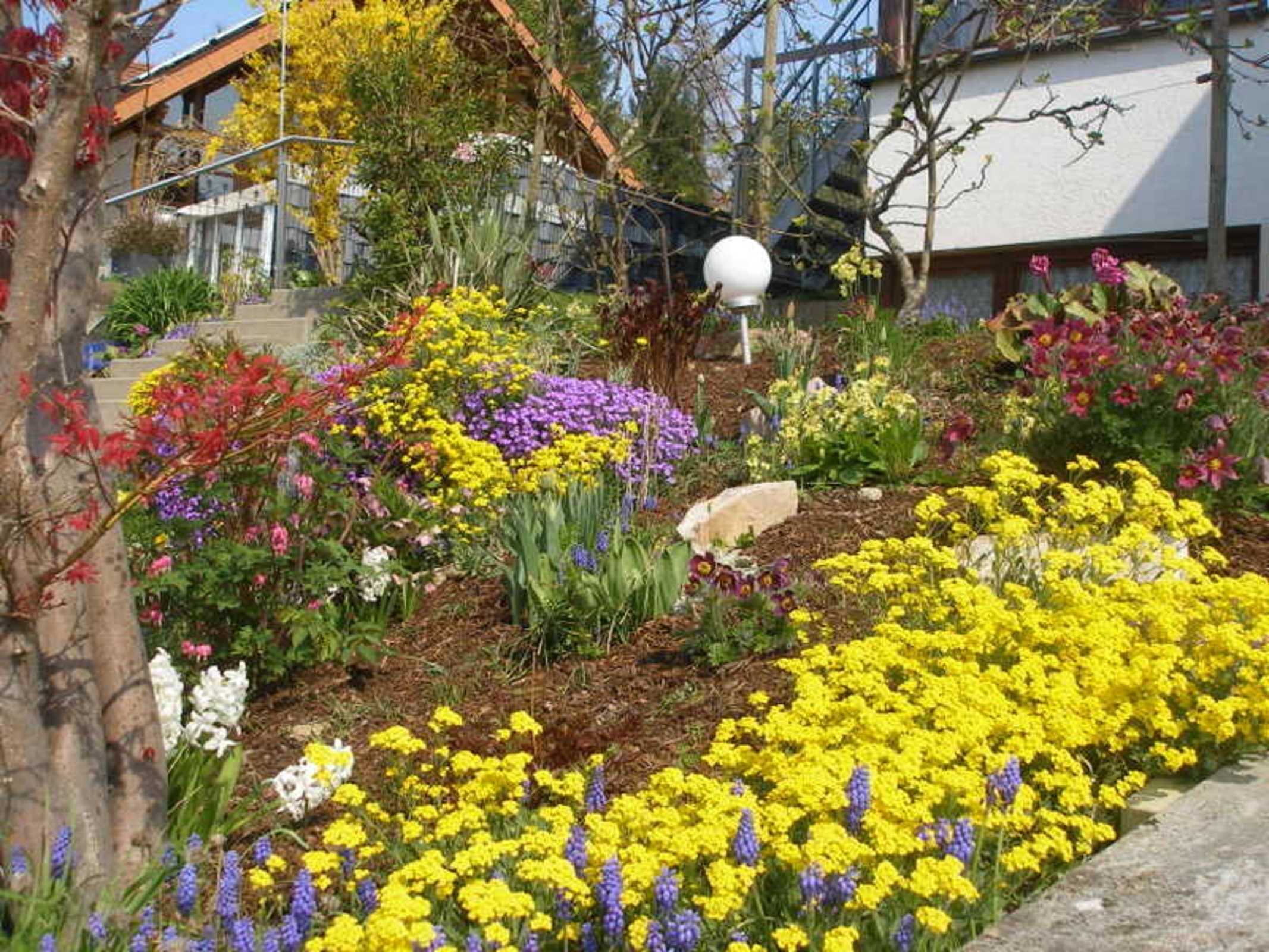 Un jardin avec différentes sortes de fleurs et un lampadaire.