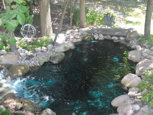 Stroll across the serene water feature, surrounded by lush greenery and natural elements.