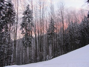 Botón de imagen sin clasificar, 5 de 30