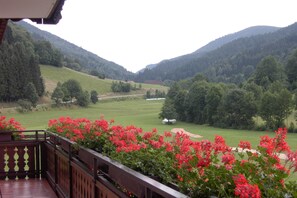 Property grounds - Vacation apartment Ebersbachblick, approx. 100sqm, 2 bedrooms, max. 8 persons, 2 - 8 (Elzach)
