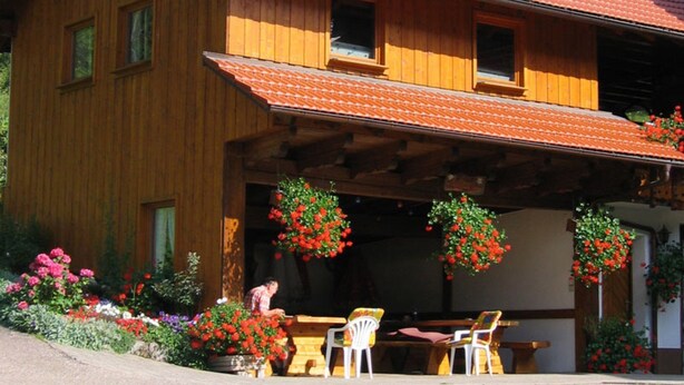 Eksteriør