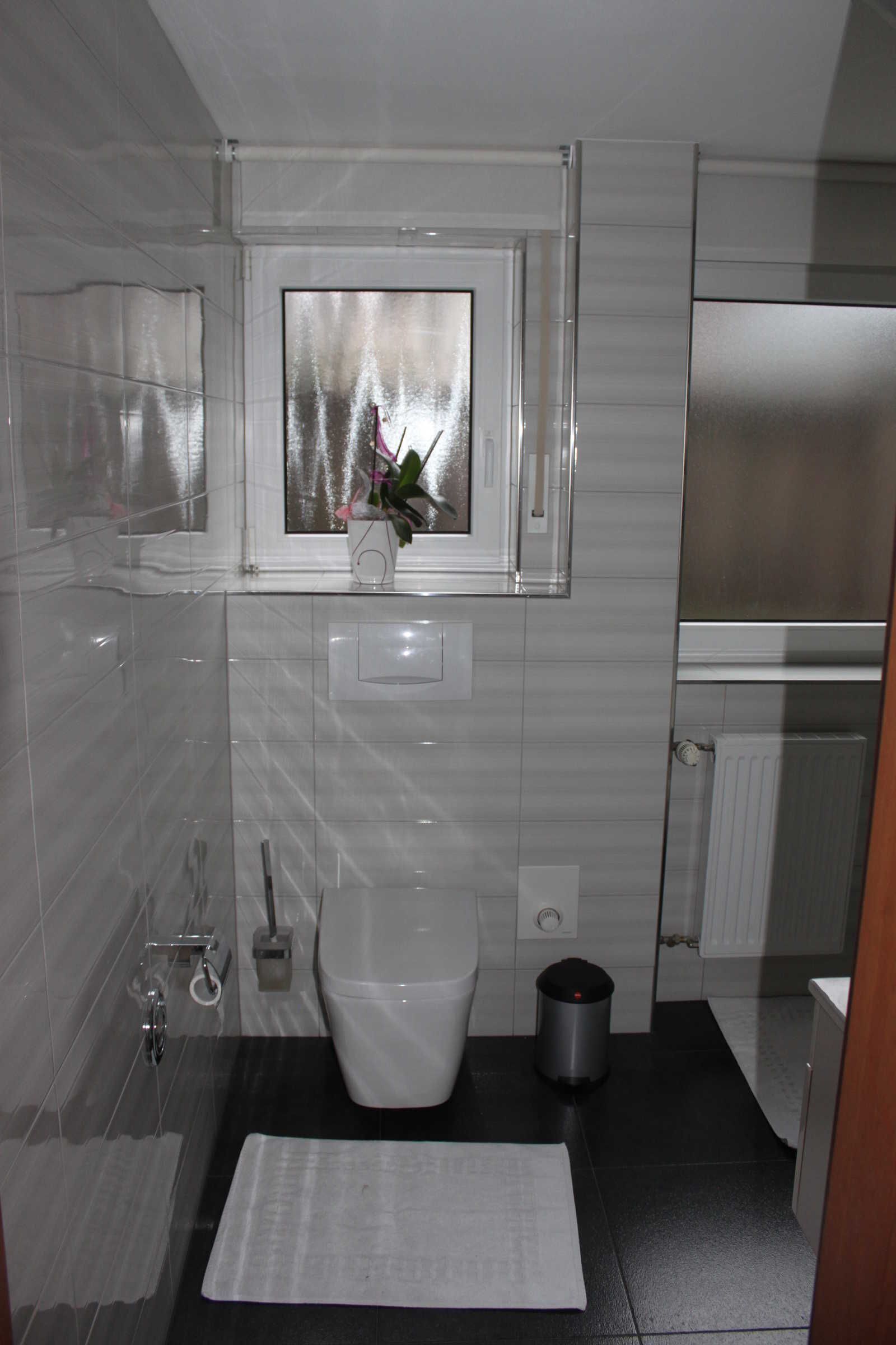 Dusche, Haartrockner, Handtücher, Toilettenpapier