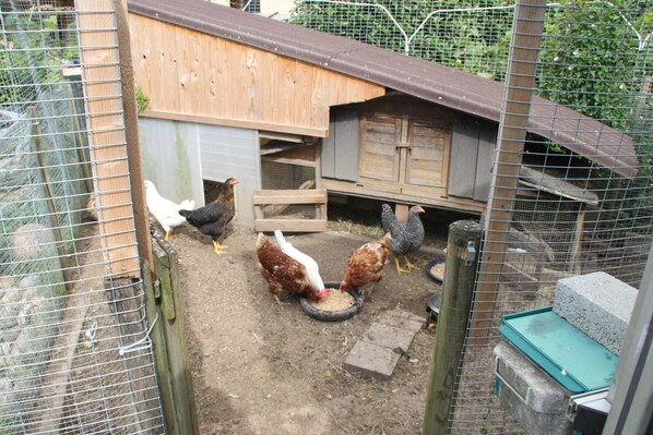 Unclassified image, 1 of 22, button