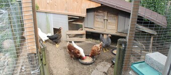 Gästehaus Schwien - Apartment 66 qm, for max. 6 persons.