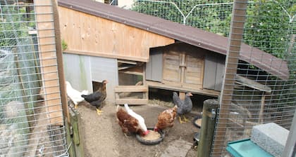 Gästehaus Schwien - Apartment 66 qm, for max. 6 persons.