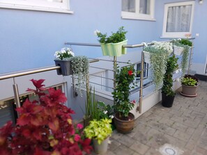 Unclassified image, 4 of 22, button