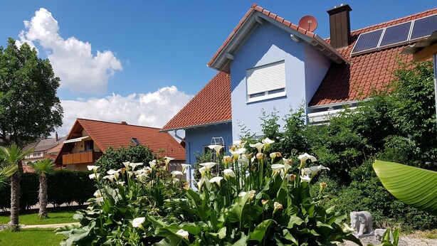 A residential garden with a variety of plants and flowers, a stone bench, and a blue house with solar panels.