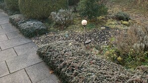 Een tuin met strakke hagen, een pad en een lantaarnpaal.