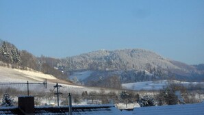 Un paysage enneigé avec une montagne en arrière-plan et une clôture au premier plan.