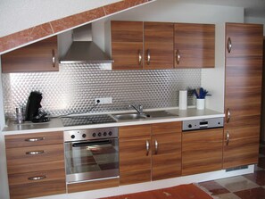 Fridge, microwave, oven, dishwasher - Apartment Schlossblick 68 m², 2 bedrooms - Apartment Art (Mahlberg)