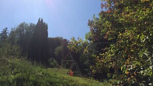 A grassy area with a swing set and dense foliage.