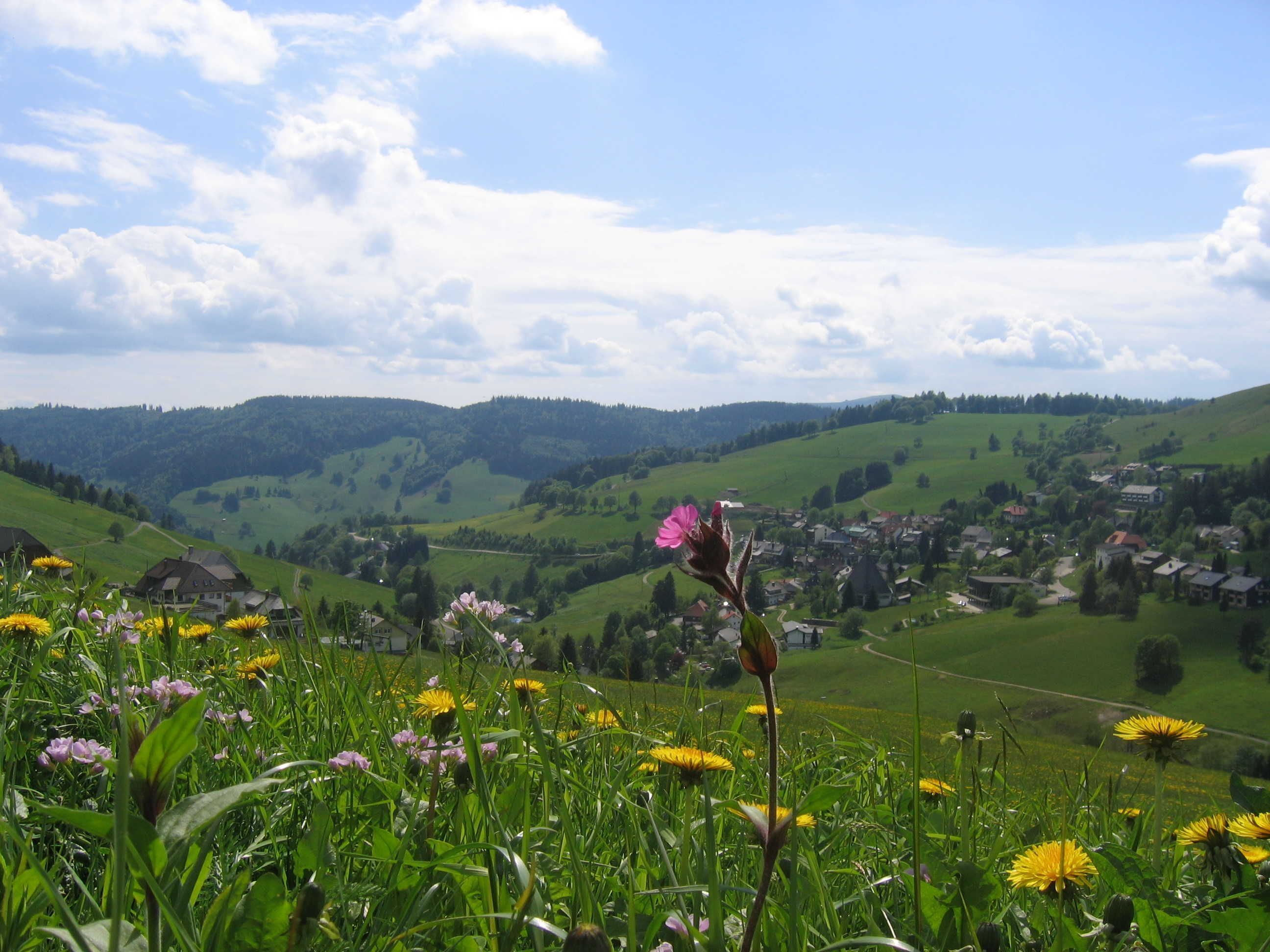 A rural landscape with a village in the valley, surrounded by green hills and fields.